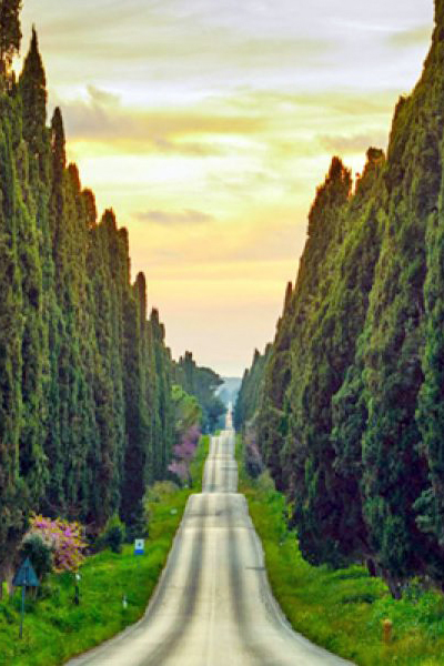 villa di lusso a bolgheri con piscina